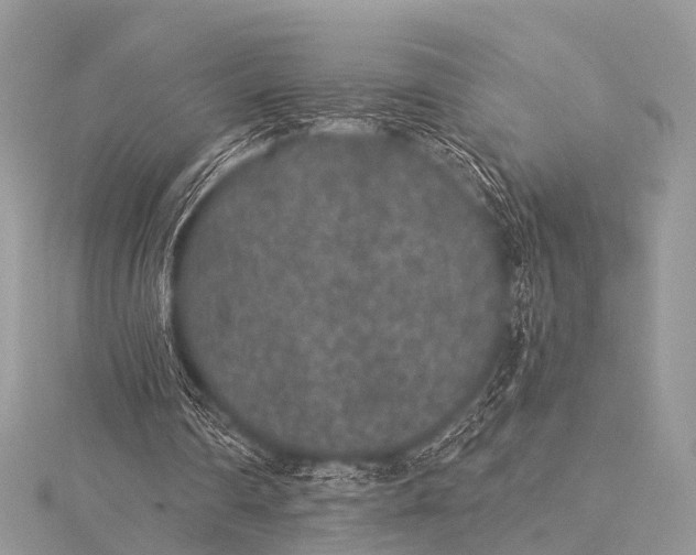 X0000115530290200911201725