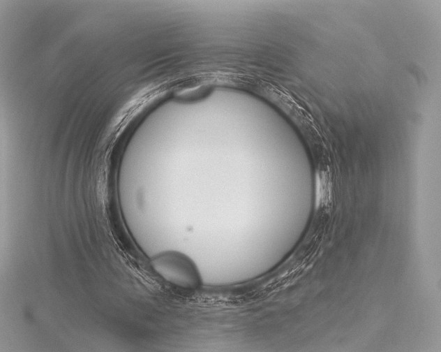 X0000115530291200911201725