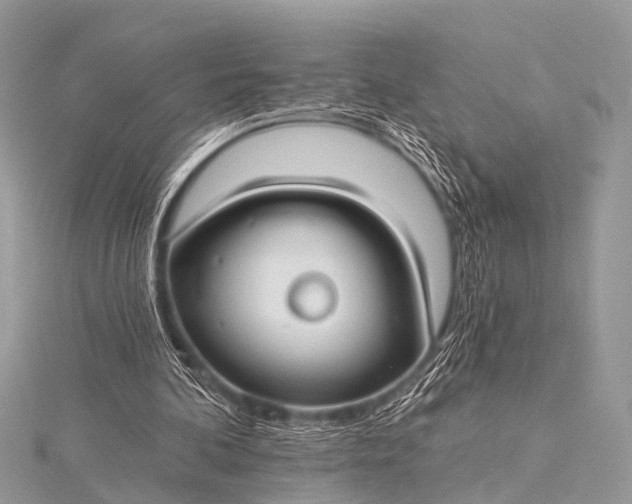 X0000115530292200911201725