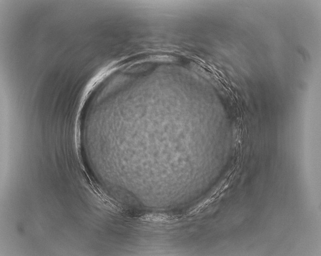 X0000115530294200911201725