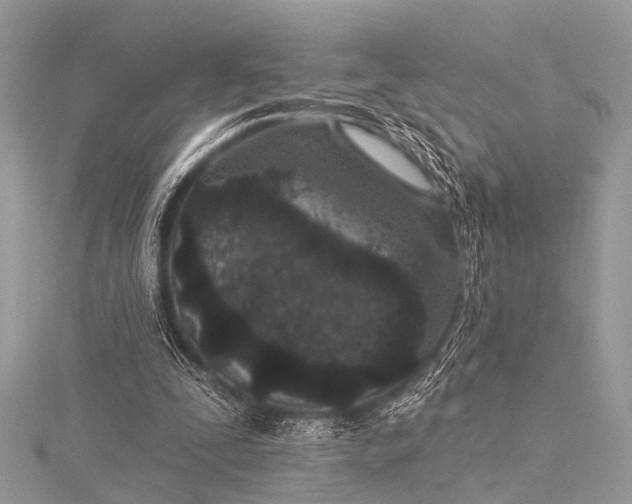 X0000115530295200911201725