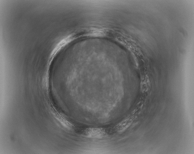 X0000115530296200911201725