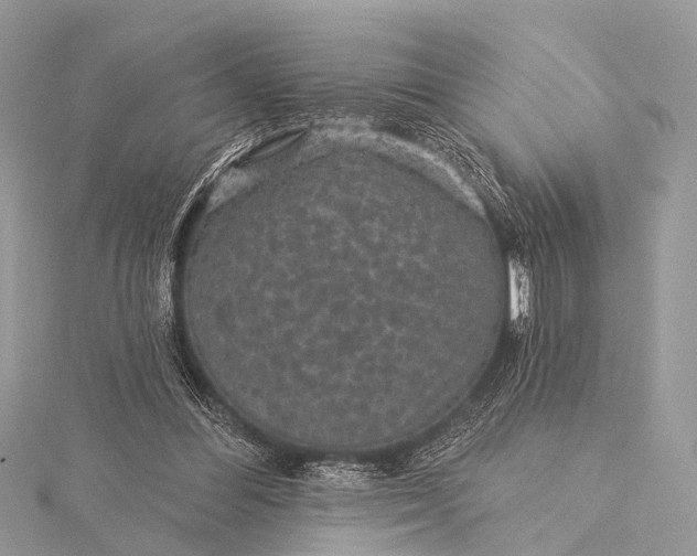 X0000115530300200911201725