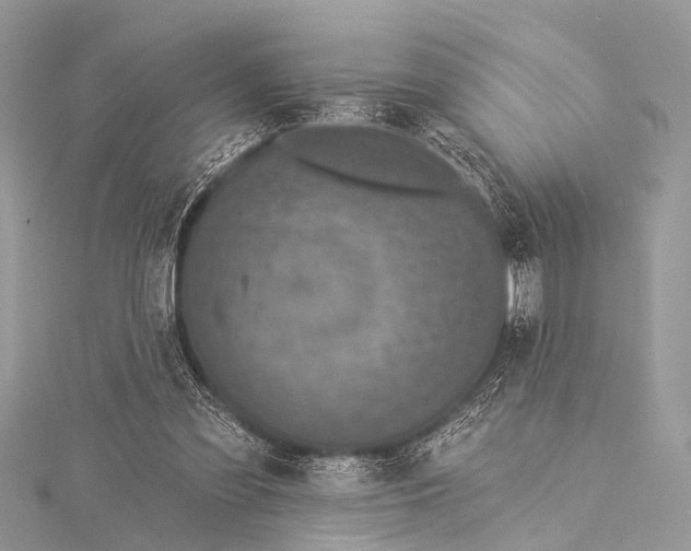 X0000115530301200911201725