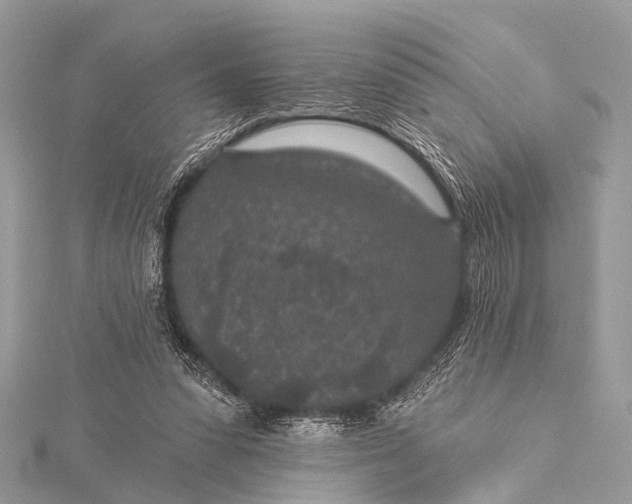 X0000115530303200911201725