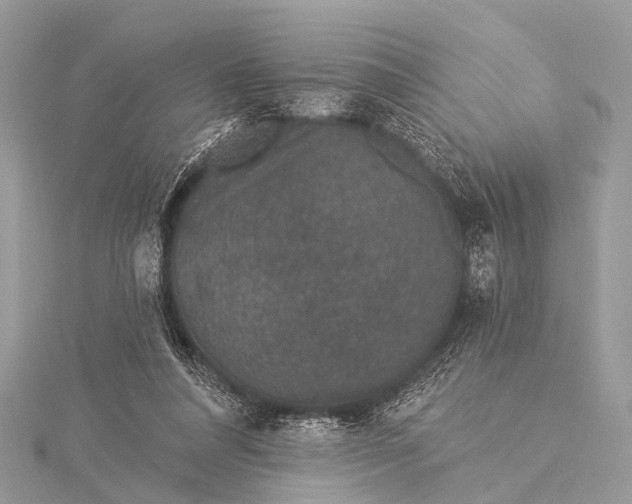 X0000115530304200911201725