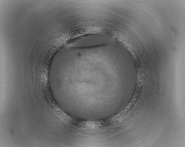 X0000115530305200911201725