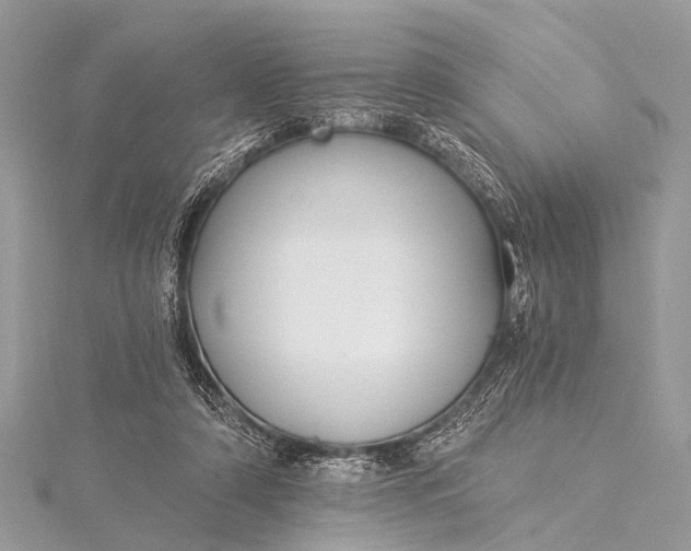 X0000115530306200911201725