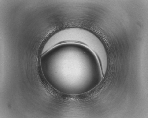 X0000115530308200911201725