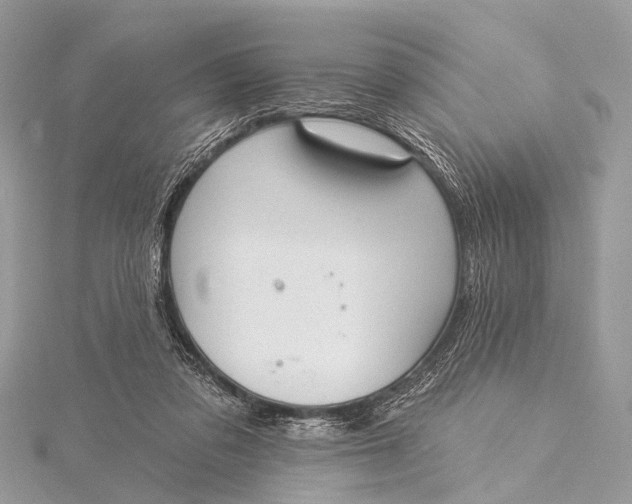 X0000115530309200911201725