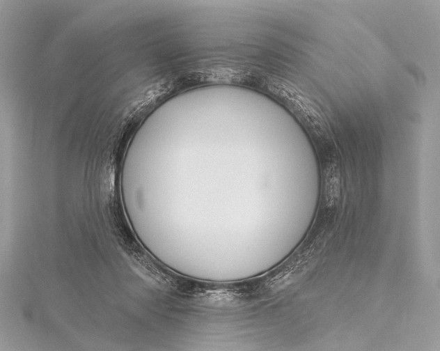 X0000115530310200911201725