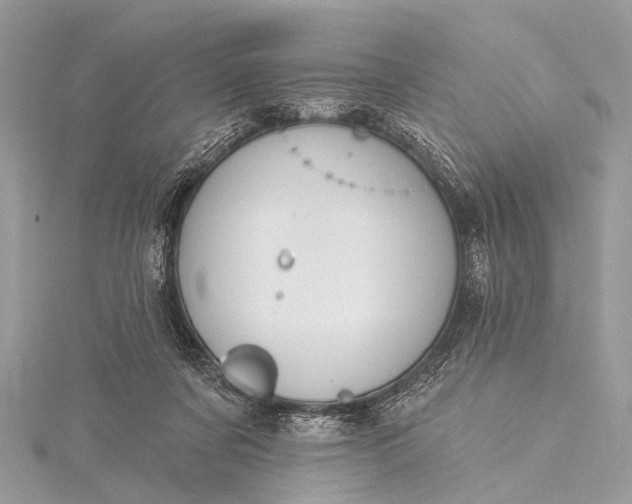 X0000115530311200911201725