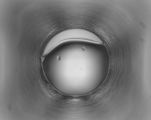 X0000115530312200911201725