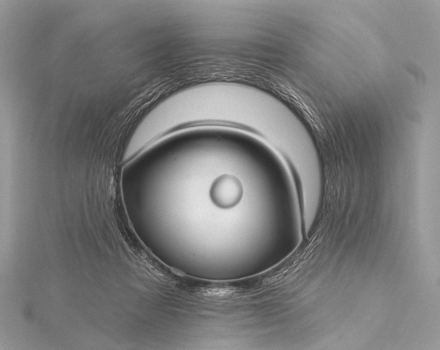 X0000115530313200911201725