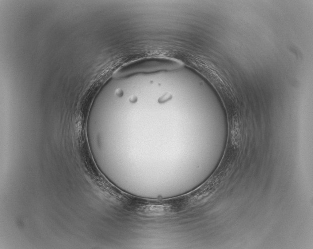 X0000115530314200911201725