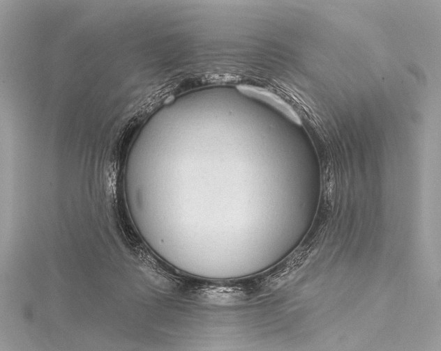 X0000115530315200911201725