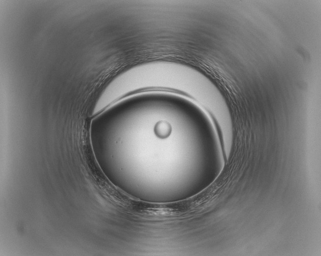 X0000115530316200911201725