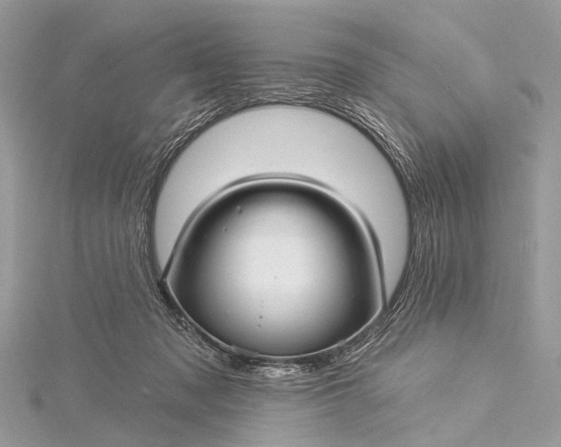 X0000115530317200911201725