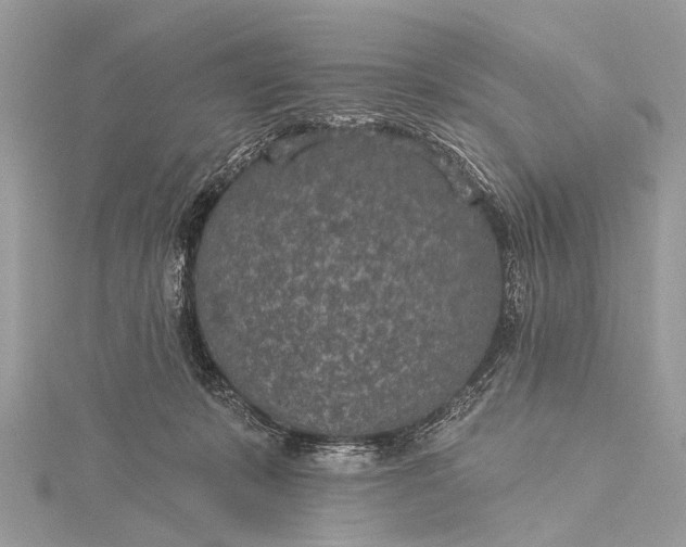 X0000115530319200911201725