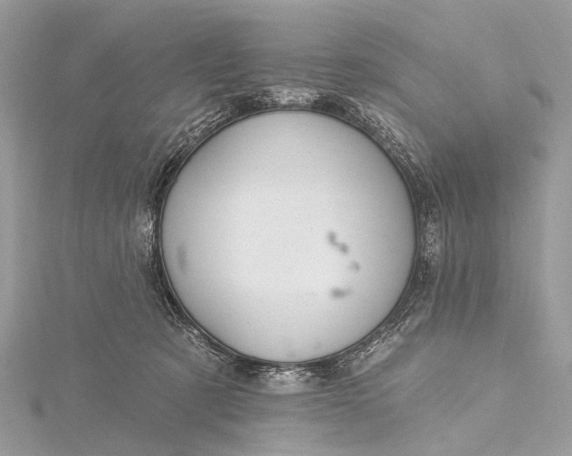 X0000115530321200911201725