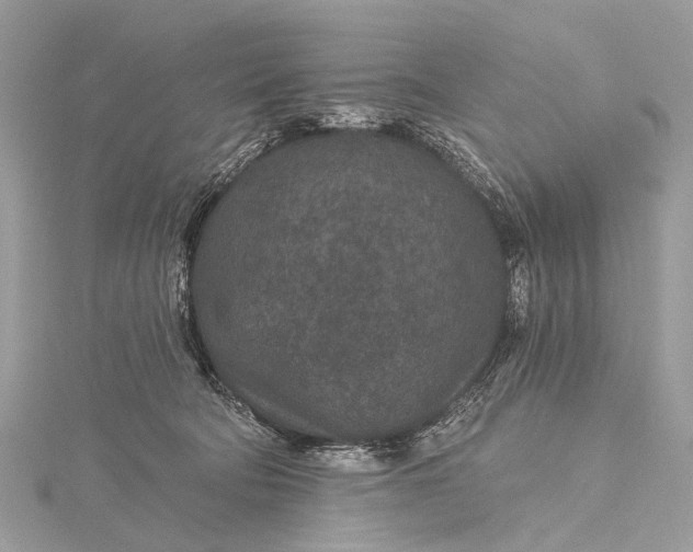 X0000115530322200911201725