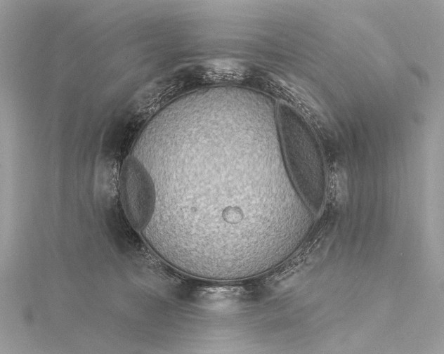 X0000115530323200911201725