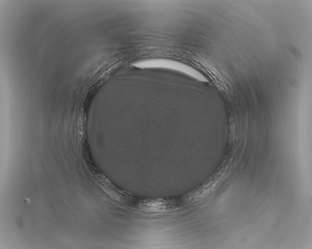 X0000115530325200911201725