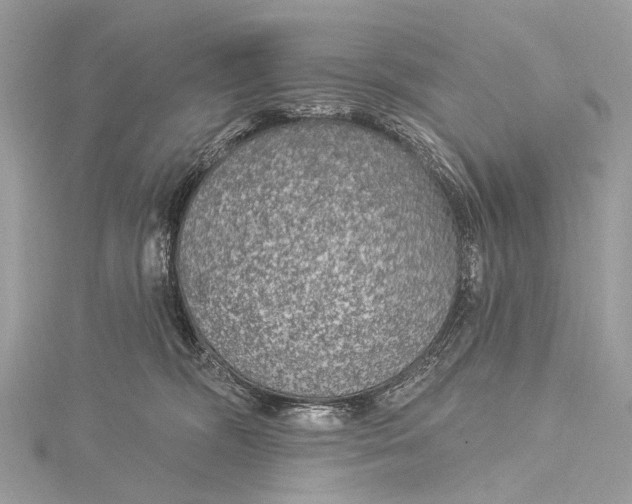 X0000115530326200911201725