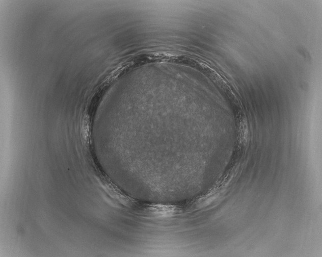 X0000115530328200911201724