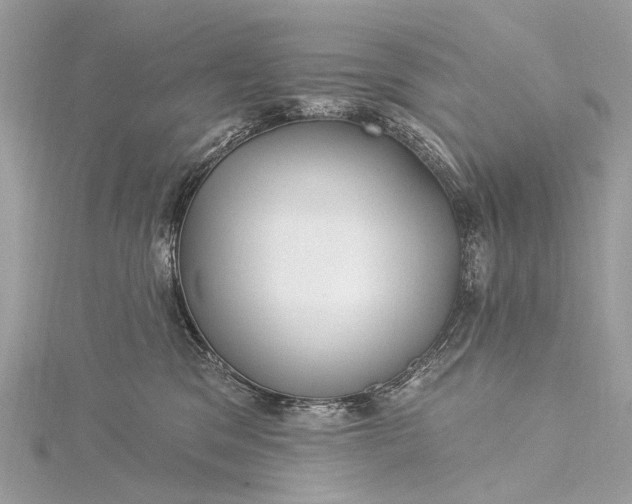 X0000115530329200911201724