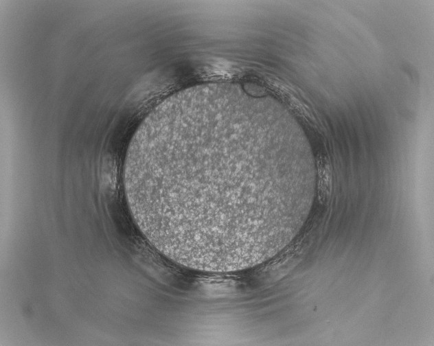 X0000115530331200911201724