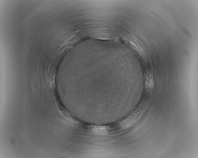 X0000115530332200911201724