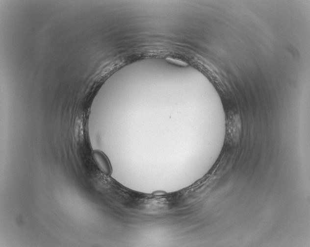 X0000115530333200911201724