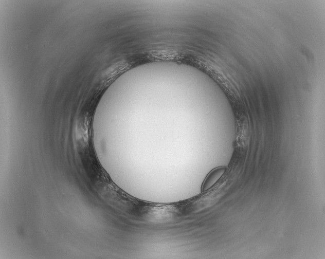 X0000115530334200911201724