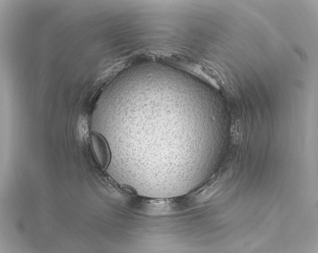 X0000115530335200911201724