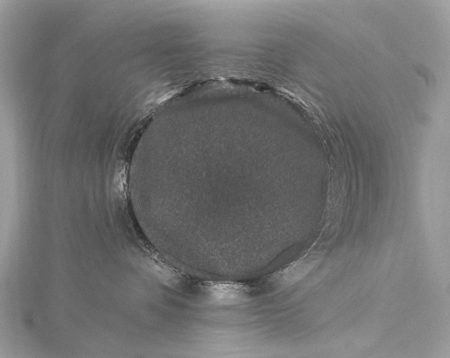 X0000115530336200911201724