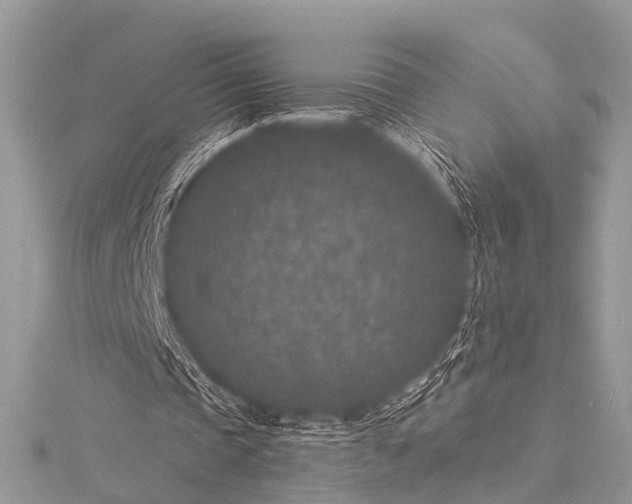 X0000115530337200911201724