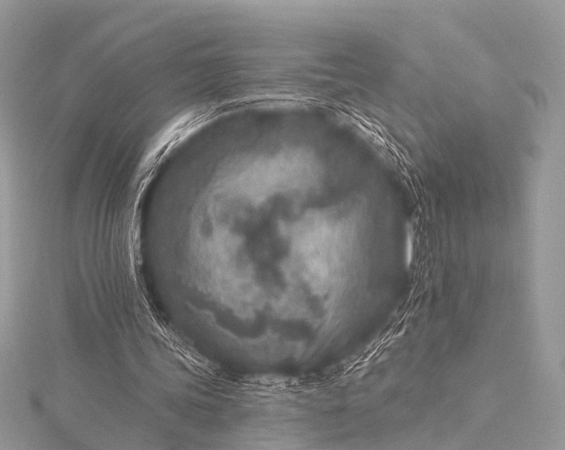 X0000115530339200911201724