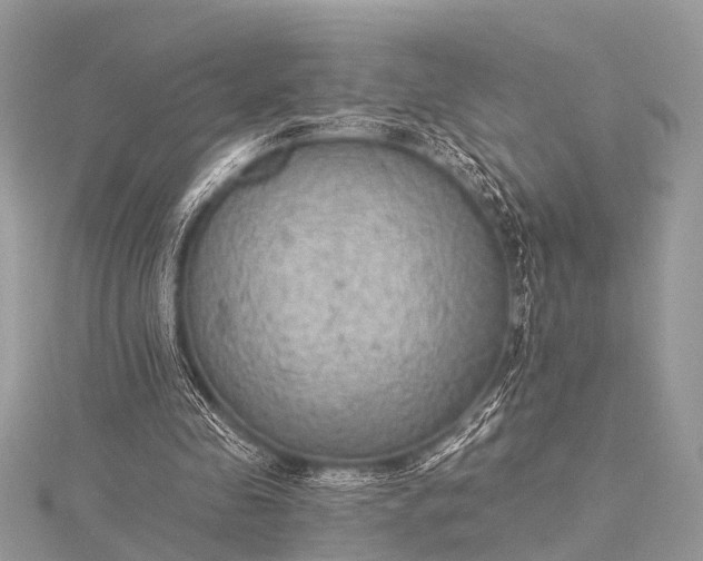 X0000115530341200911201724