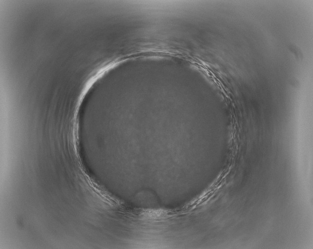 X0000115530342200911201724