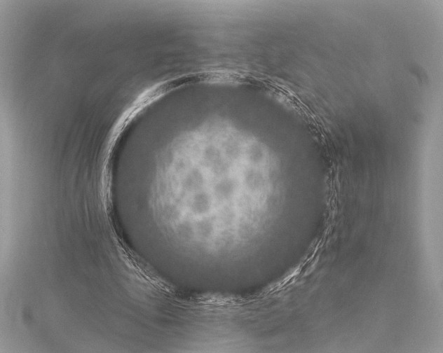 X0000115530343200911201724