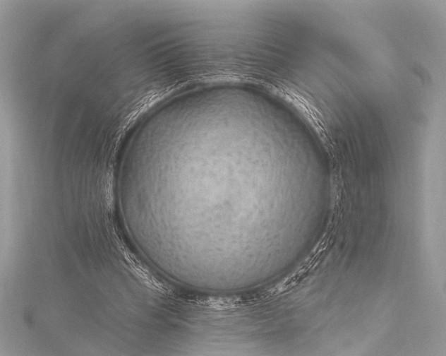 X0000115530345200911201724