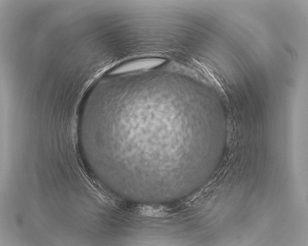 X0000115530346200911201724