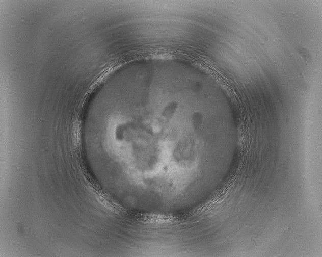 X0000115530347200911201724