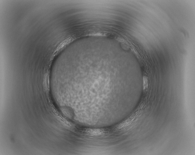 X0000115530349200911201724