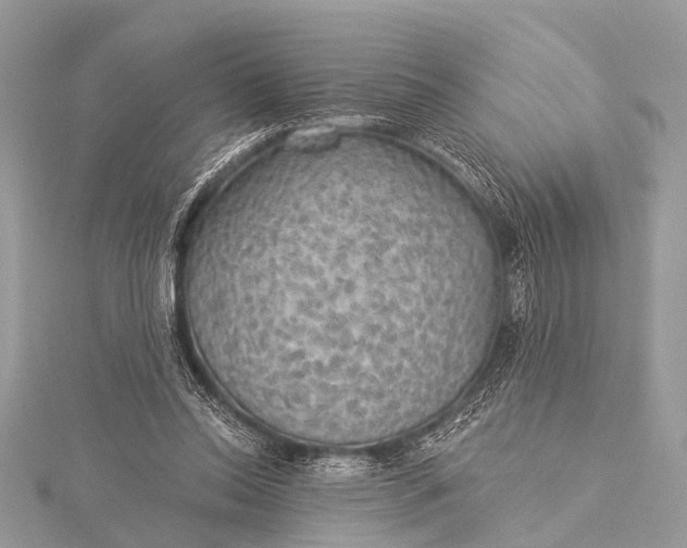 X0000115530350200911201724