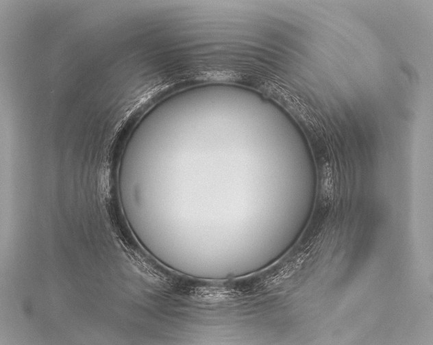 X0000115530351200911201724