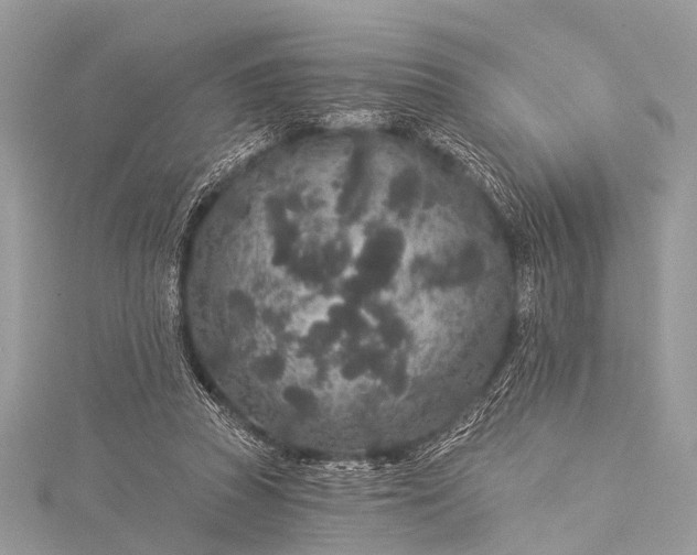 X0000115530353200911201724