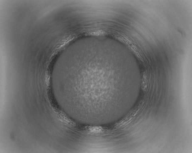 X0000115530355200911201724