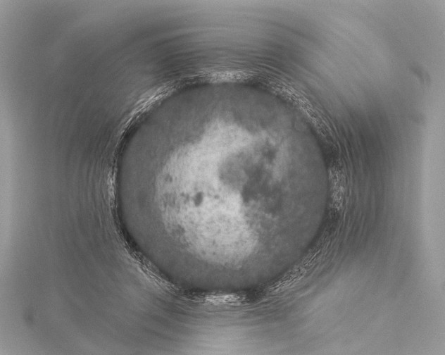 X0000115530357200911201724